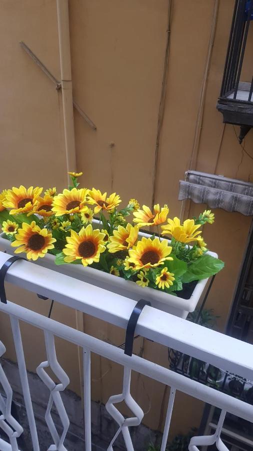Giardinetto A Toledo Apartments ナポリ エクステリア 写真